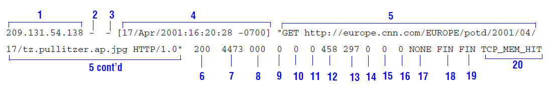 Sample Netscape Extended-2 log entry