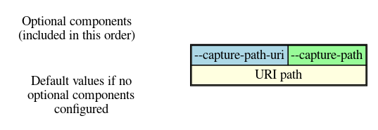 Path Section Options