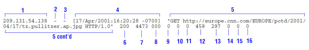 Sample Netscape Extended log entry