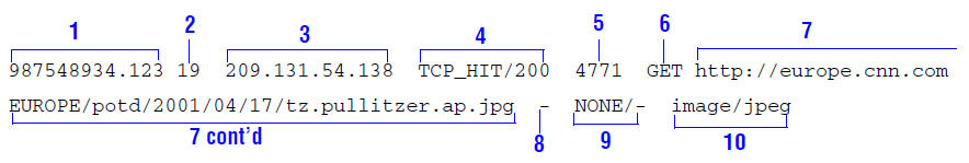 Sample Squid log entry